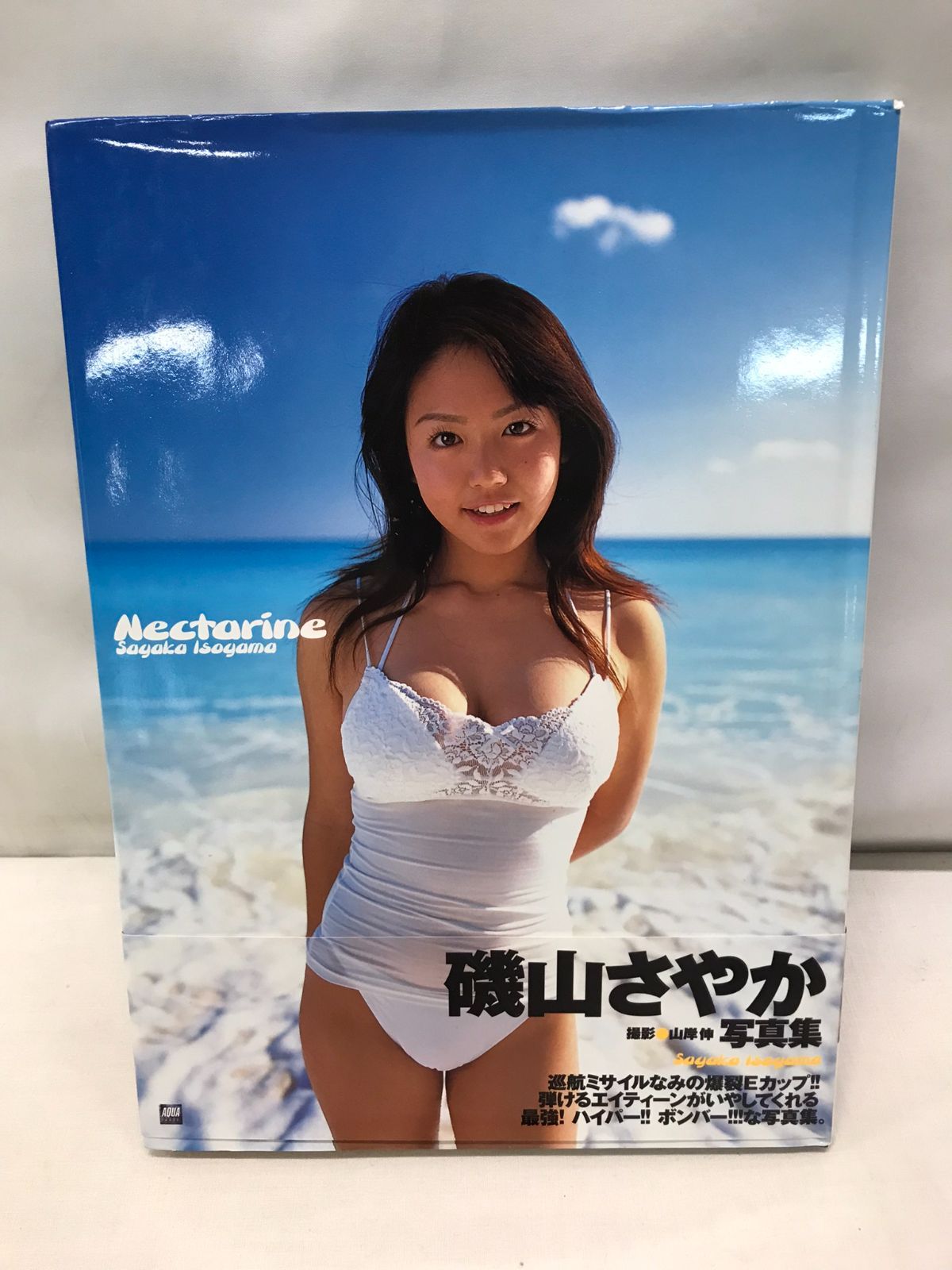 レア】磯山さやか 写真集【2冊セット】