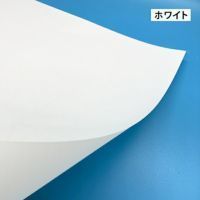 MSケント紙 ホワイト