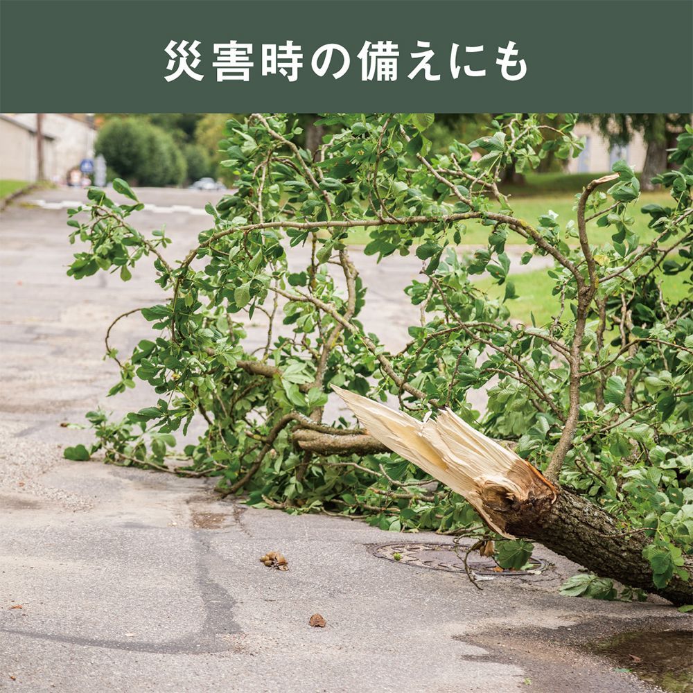 ハンディチェーンソー