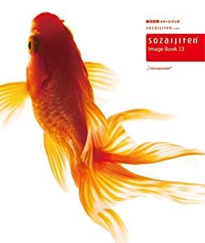 素材辞典イメージブック13 素材辞典 イメージブック 1〜14 CD-ROM付き