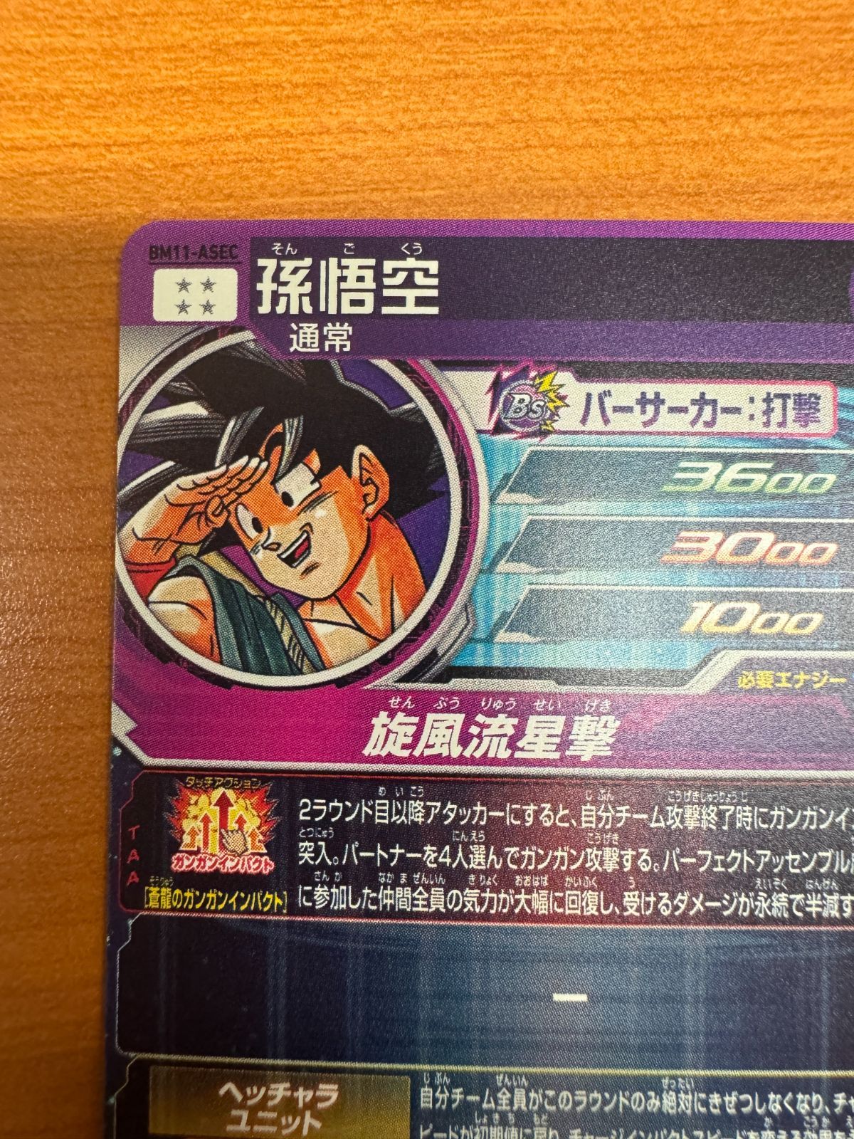 BM11-asec p ugm5-asec p ARS鑑定セット