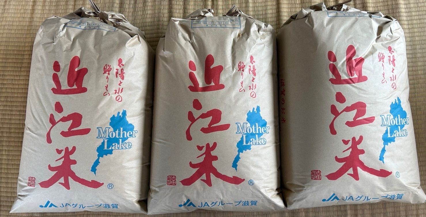 令和5年産 新米 近江米 滋賀県産 コシヒカリ100% 白米30kg 産地直送