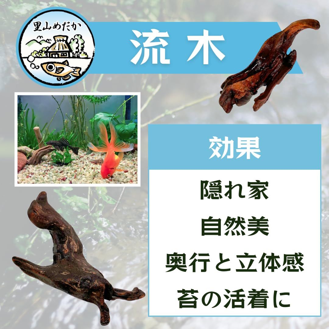 水槽用流木レイアウト 。水槽用流木アクアリウムレイアウト。水槽用