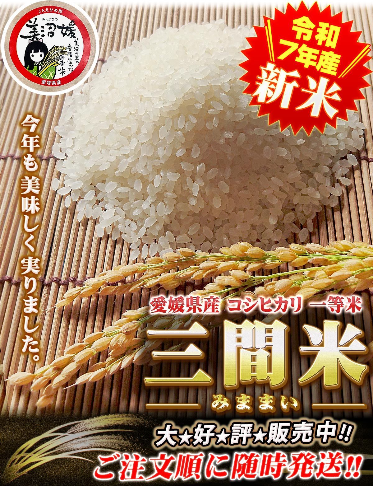 新米こしひかり　20kg 愛媛県宇和島産 新米こしひかり 20kg 愛媛県宇和島産
