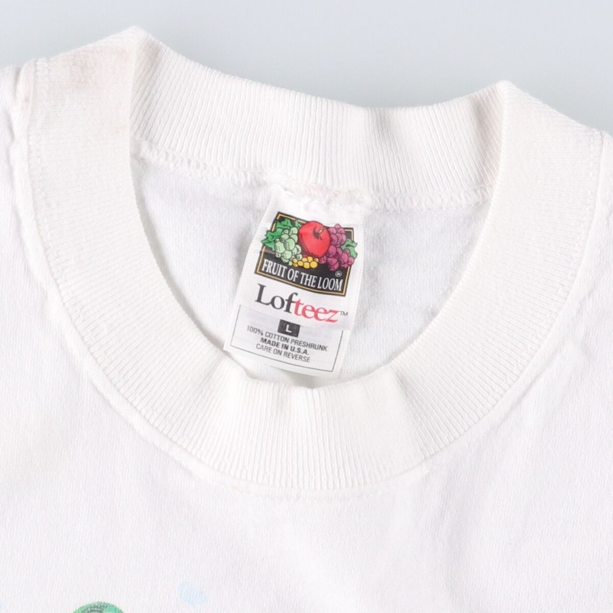 古着 90年代 フルーツオブザルーム FRUIT OF THE LOOM LOFTEEZ