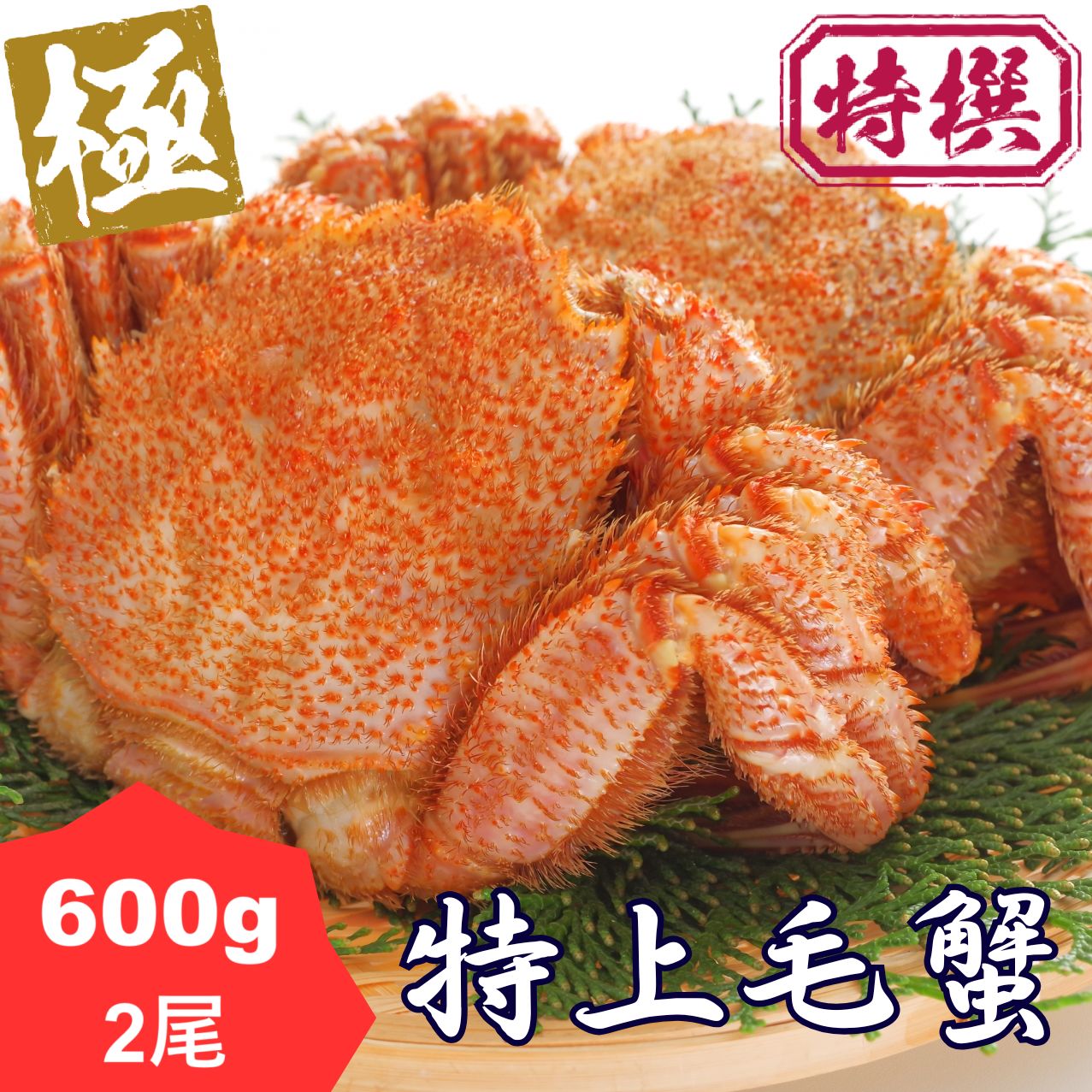 北海道産 ボイル冷凍毛蟹 約600g×2尾 | 毛ガニ ケガニ 蟹味噌 かにみそ 函館