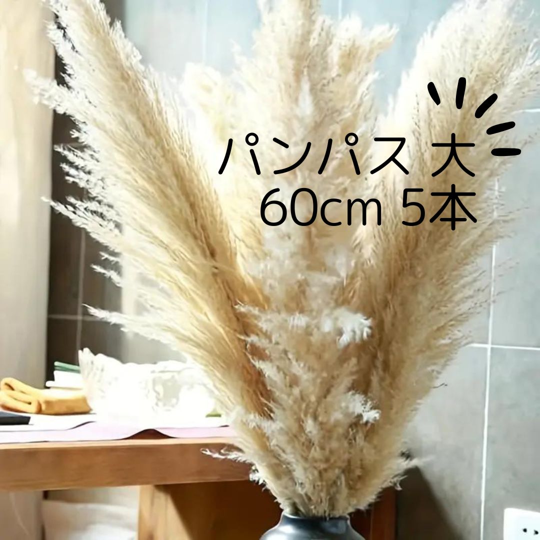 パンパスグラス ドライフラワー 大60cm 5本セット パンパス ふわふわ インテリア 人気 N-DP60-5H - メルカリ