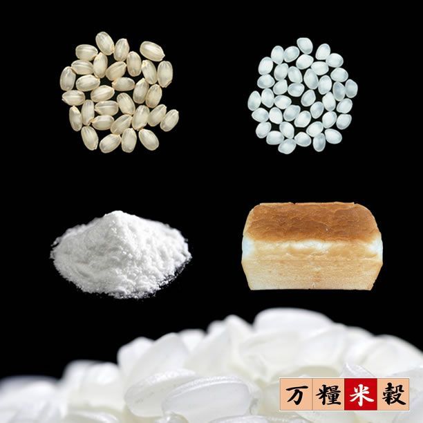 御膳 10kg