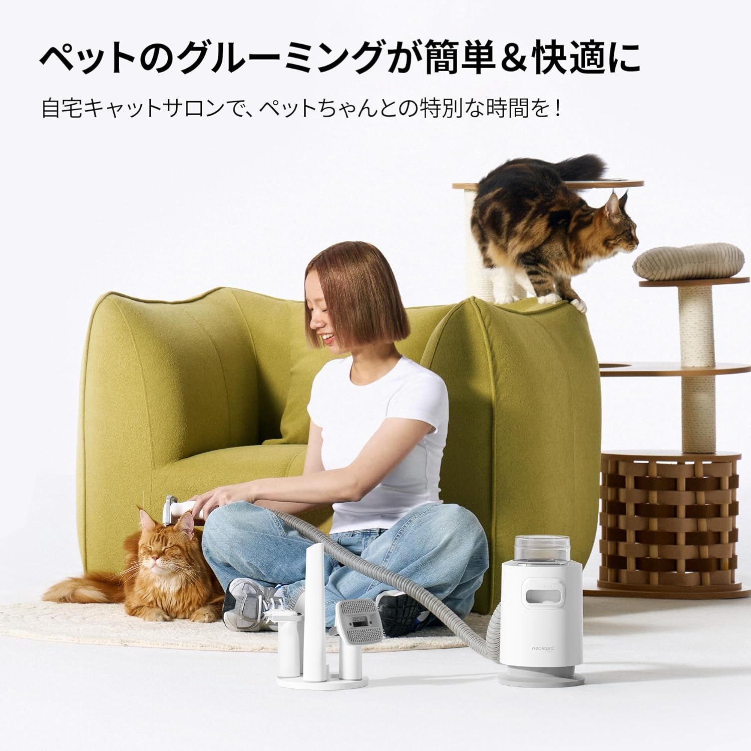 抜け毛対策