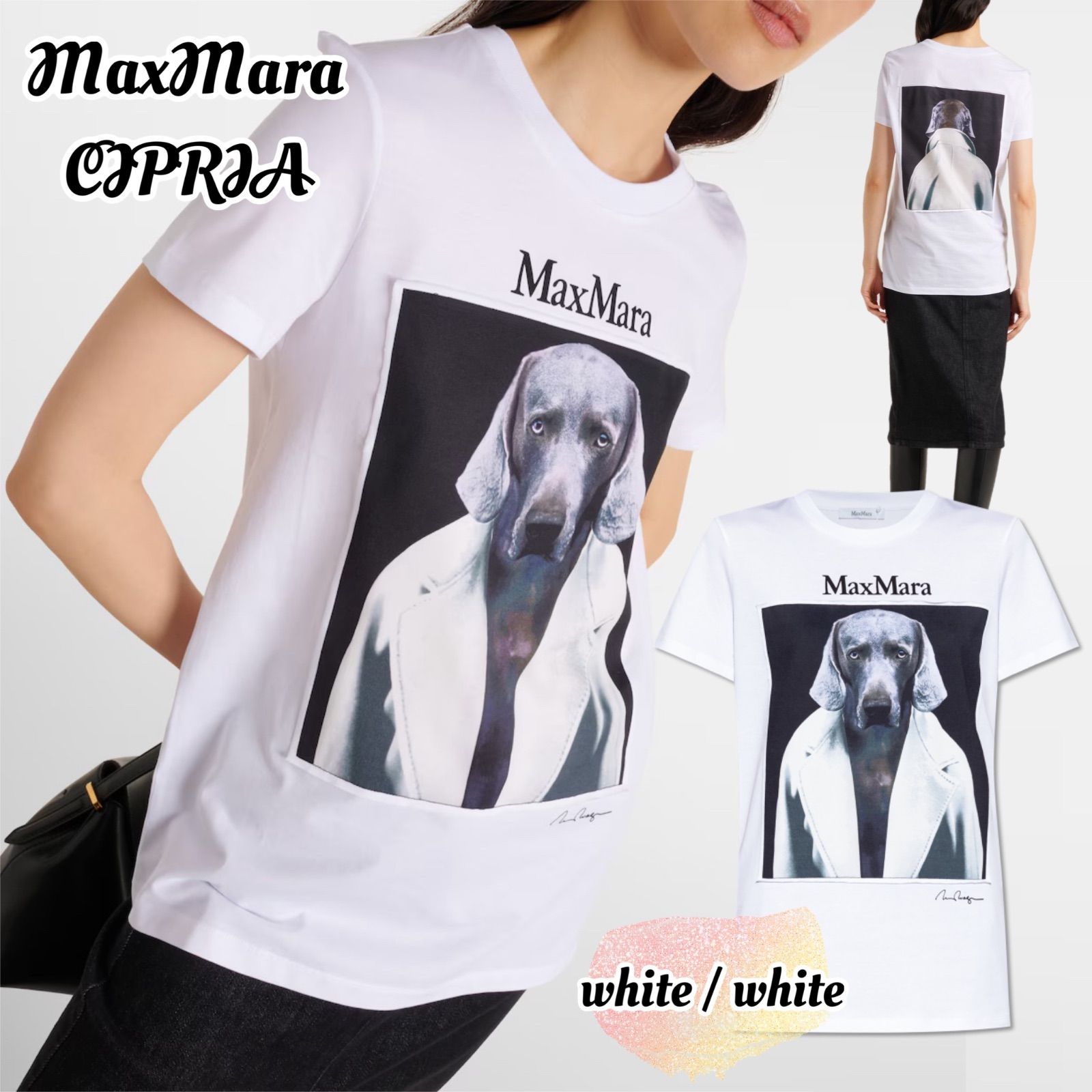 MAX MARA CIPRIA[チプリア] ピュア コットン ジャージー Tシャツ 新品未使用】MAX MARA CIPRIA[チプリア] コットン Tシャツ
