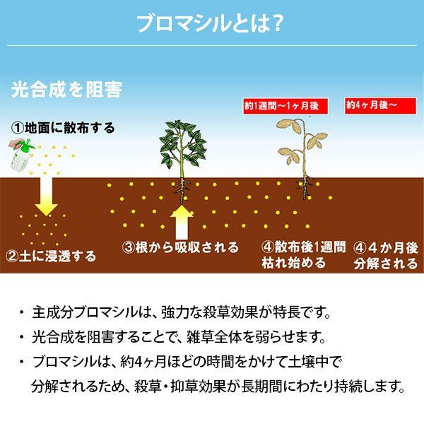 シンセイ 除草剤 アディオス ブロマシル80%水和剤 100g 20袋セット 非農耕地用 除草 雑草