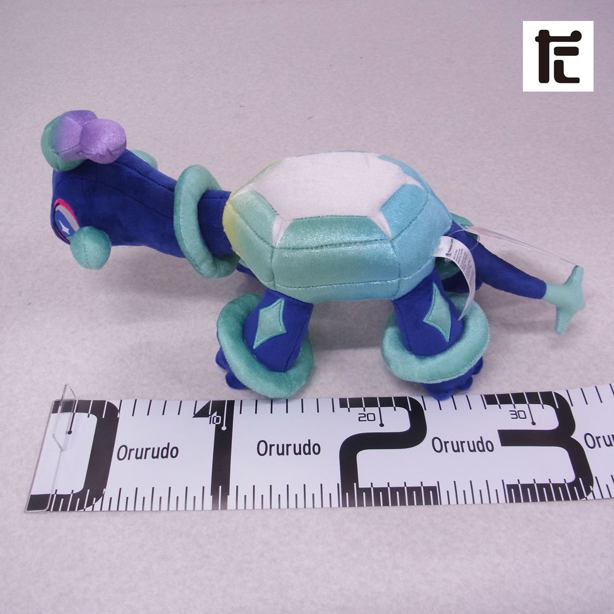 ポケモンセンター ぬいぐるみ テラパゴス ノーマルフォルム 紙