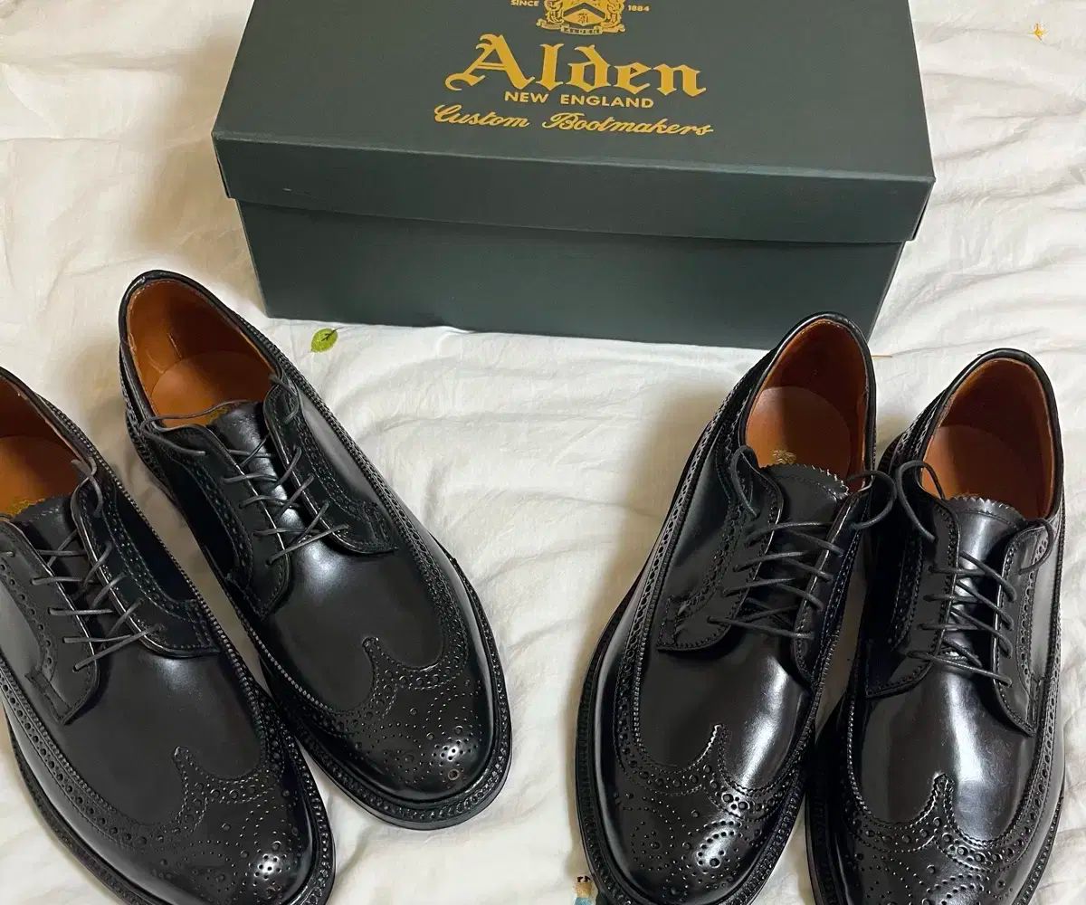Alden 9751 ロングウィングチップ ブラックコードバン Alden9751