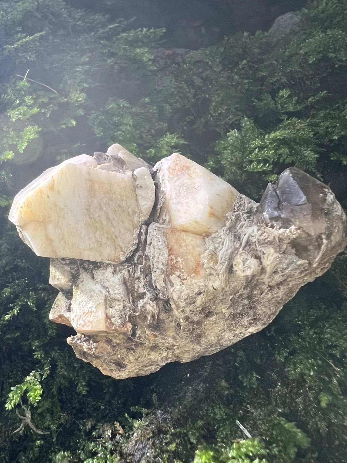 龍脈の精髄 ― 宮崎産 煙水晶＆長石共生標本 大地と祓いの調和 保護猫活動支援