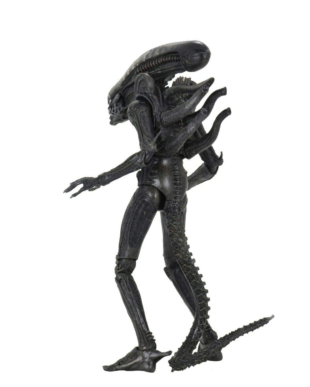 NECA エイリアン ビッグチャップ アルティメット7インチアクションフィギュア エイリアン 40th アニバーサリー/ エイリアン ビッグチャップ 7