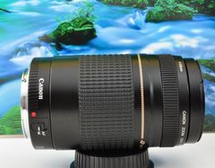 貴重な一瞬を望遠で！Canon Zoom LENS EF75-300mm F4-5.6 USM イベントに大活躍 ！キヤノン 望遠レンズ Zoom LENS 交換レンズ 一眼カメラ EOS Kiss レンズフード