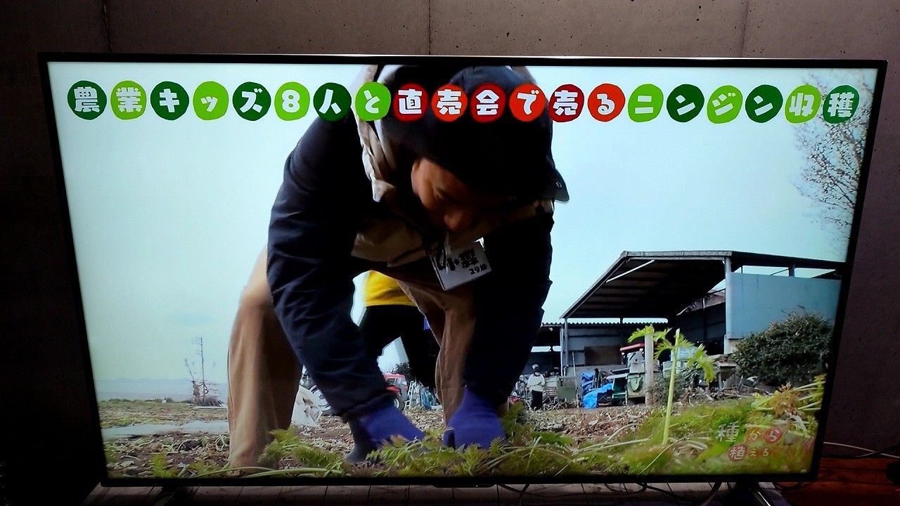 SHARP 液晶テレビ 60インチ LC-60US20 動作確認済み 他付属品有 シャープ AQUOS LC-60US20 [60インチ] 価格比較 - 価格.com