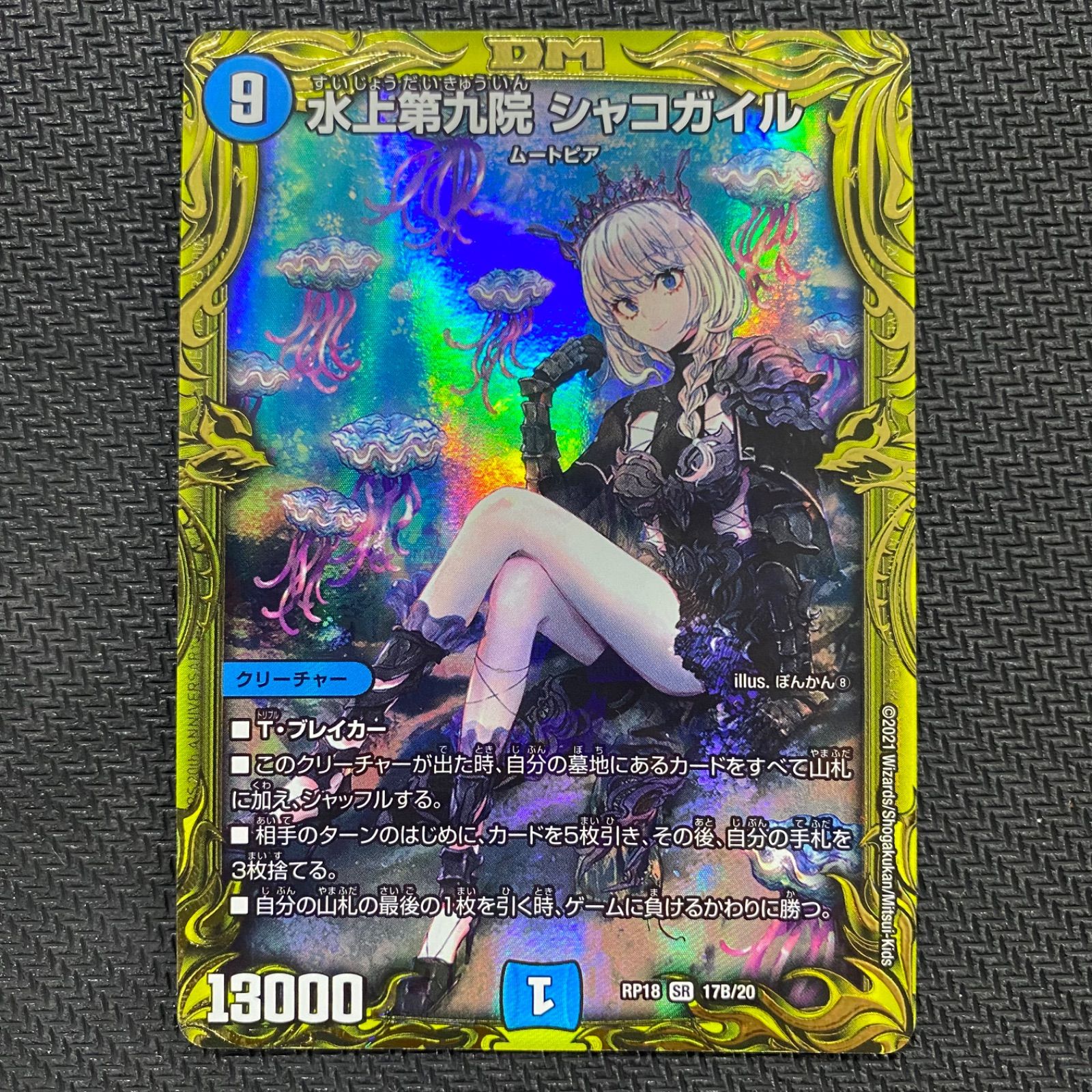 シャコガイル b （芸能人愛用 水上第九院 b シャコガイル