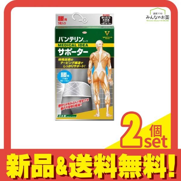 バンテリンコーワサポーター 腰用 男女兼用 ゆったり大きめLLサイズ 1枚入 シャイニンググレー 2個セット