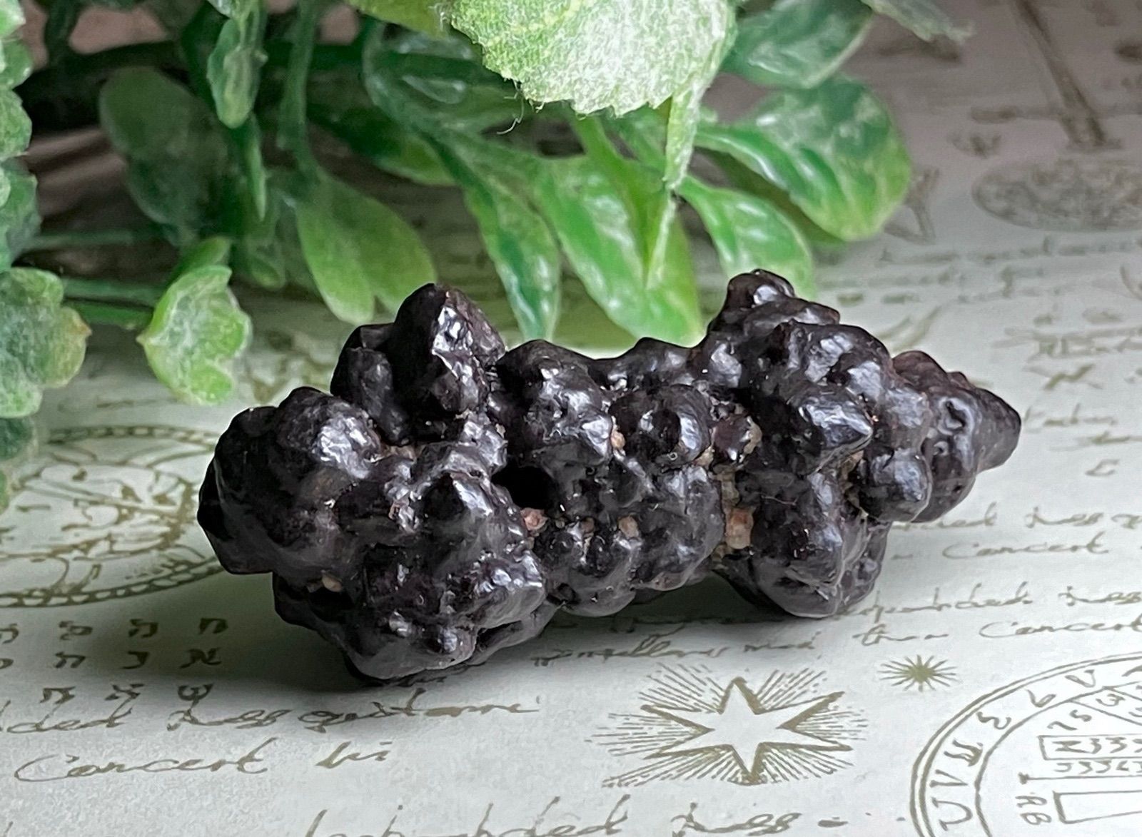 エジプトの星✴︎ ゼットストーン プロフェシーストーン ストア マーカ