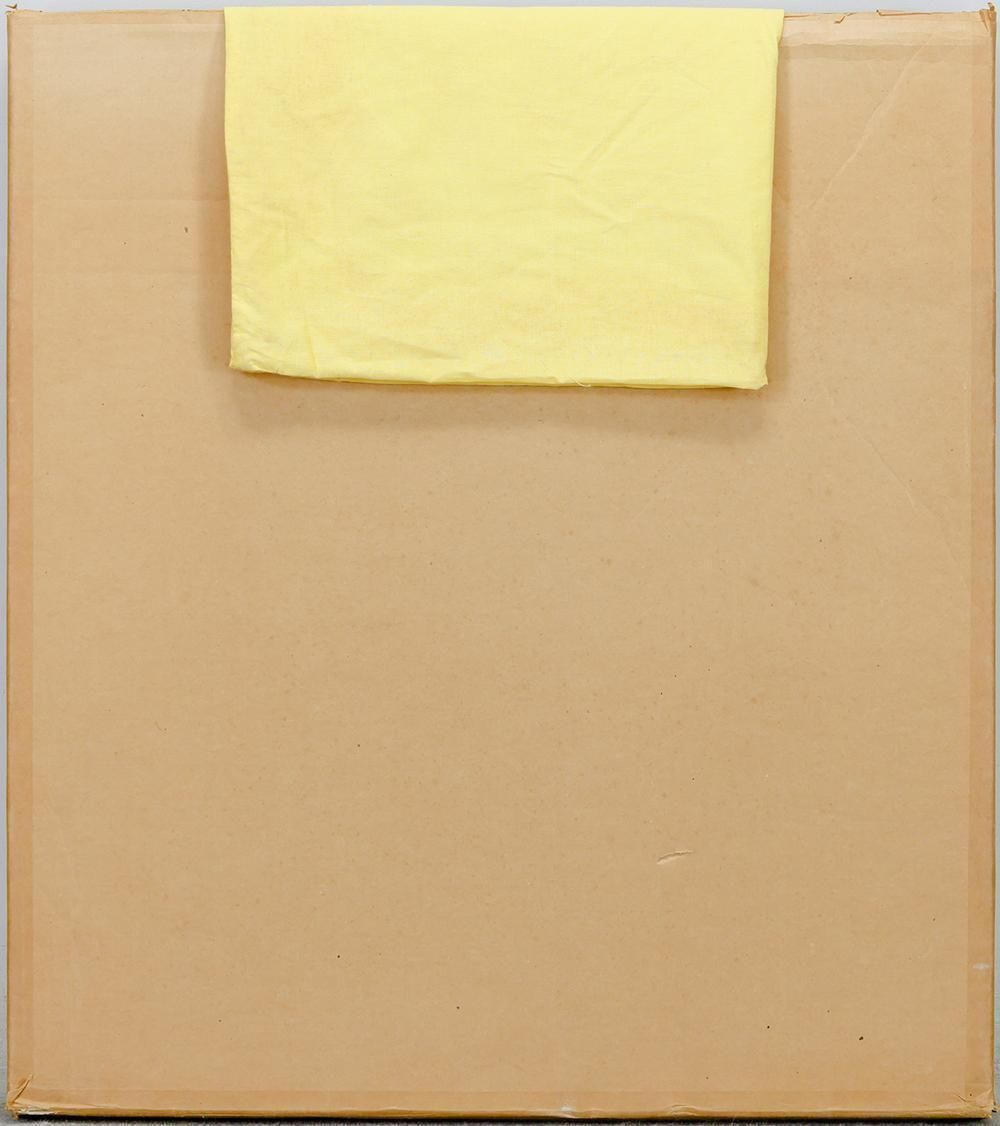 若山茂 コスモス