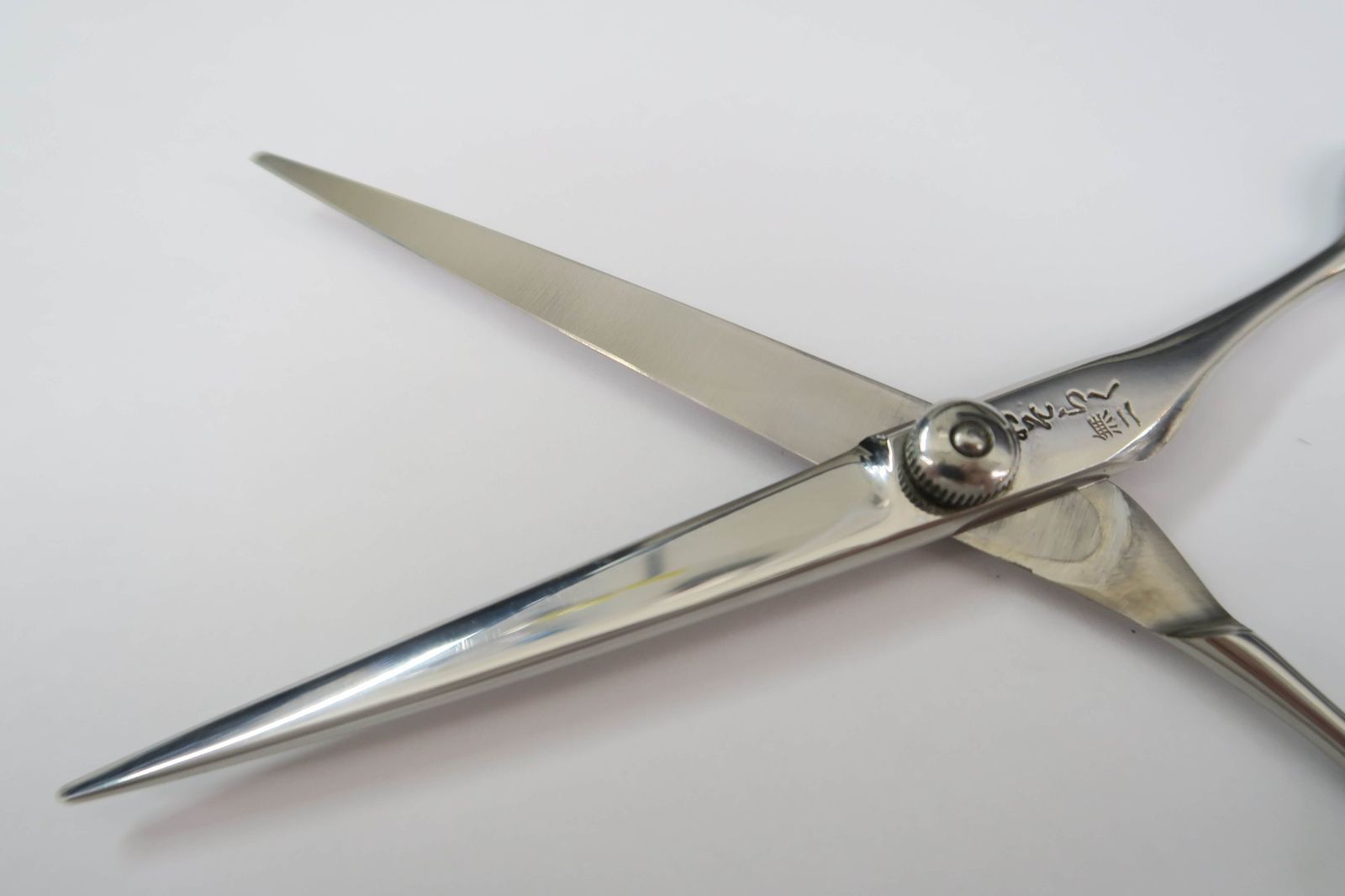 タマコーシザー(おそらく昴) タマコーシザー(おそらく昴) 2025年最新】タマコーシザーの人気