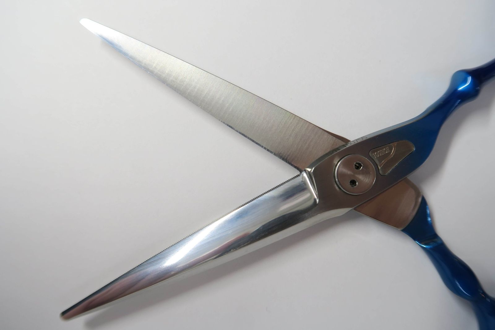 Cランク トギノン