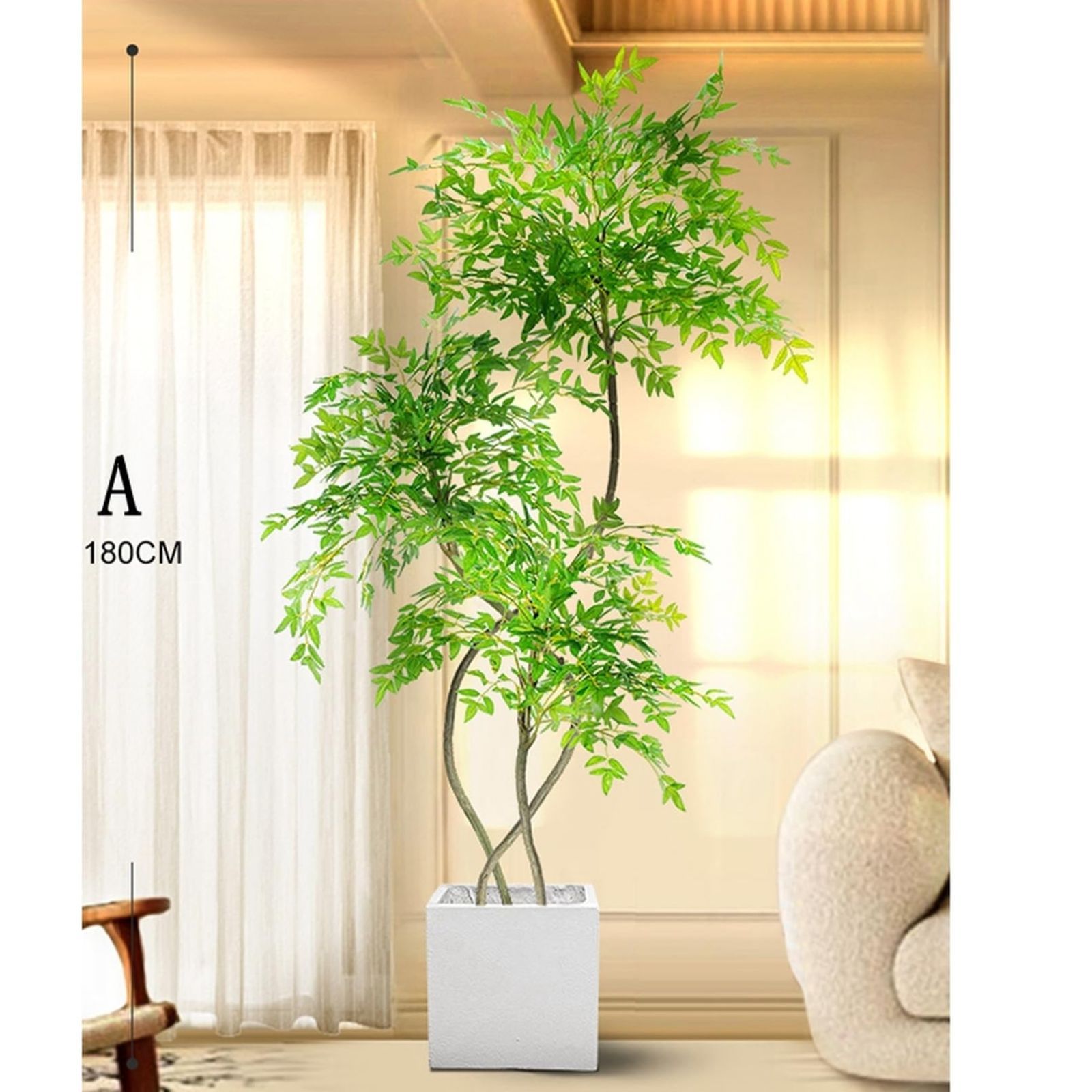 トロピカル植物 HGJH