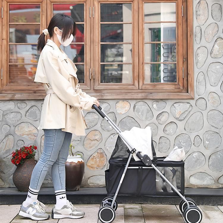小型犬 中型犬