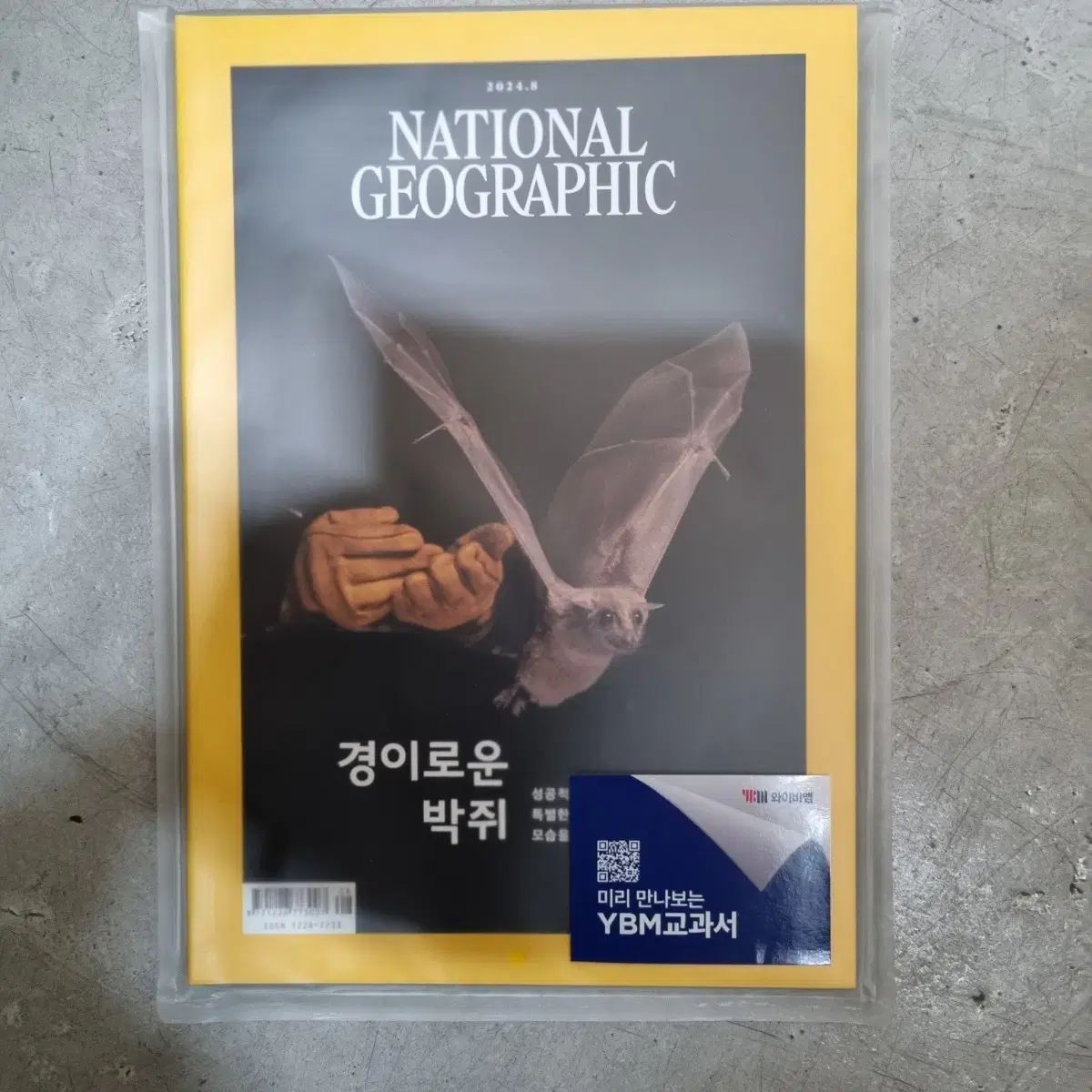 ナショナルジオグラフィック