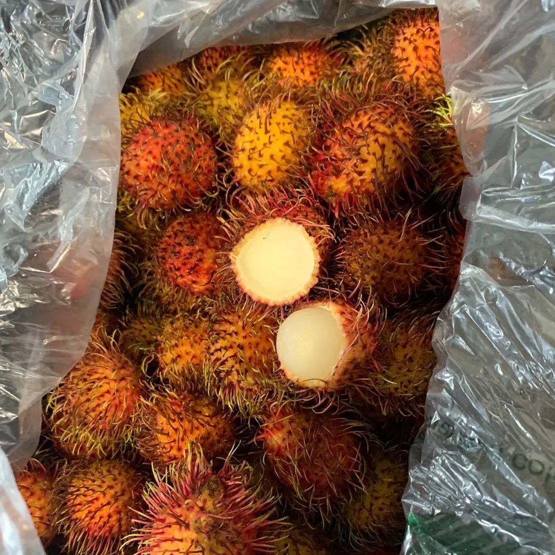 生鮮