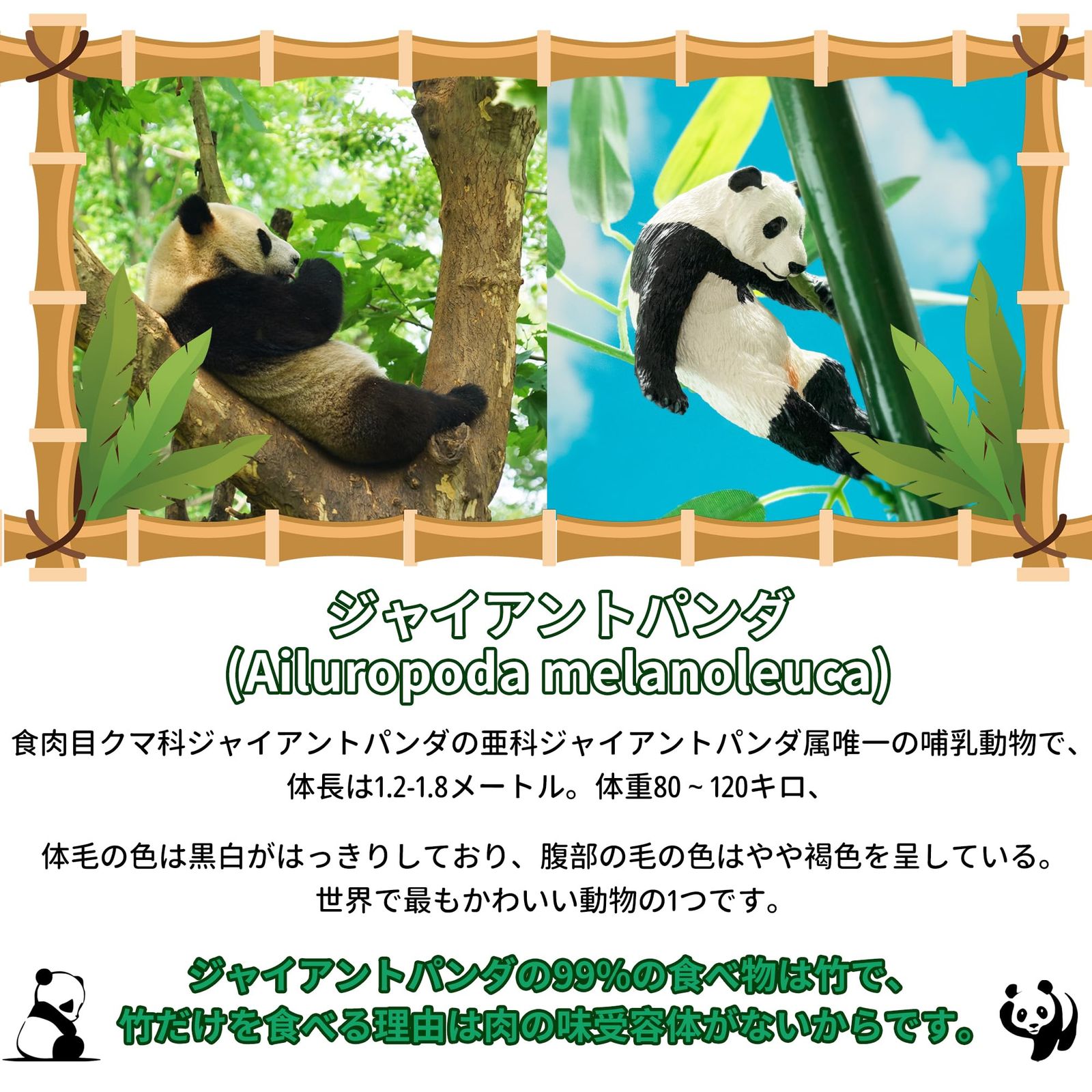52TOYS 川百水行船 パンダフィギュア 迅速発送】TOYMANY 6PCSパンダフィギュア 動物フィギュア パンダ
