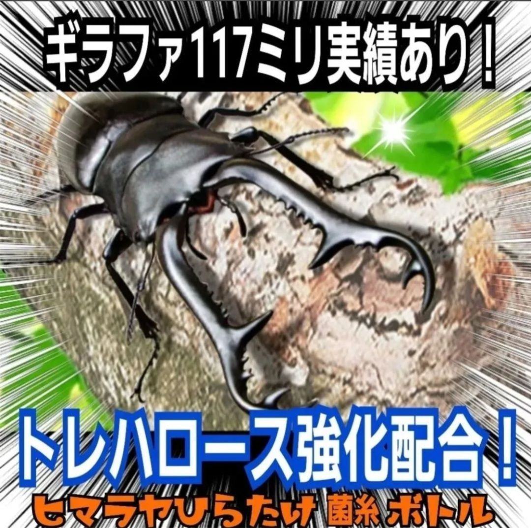 ローヤルゼリー キトサン強化配合