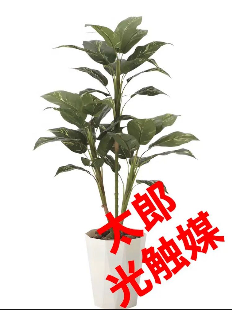 光触媒　人工観葉植物　フェイクグリーン　特大ローズブラックandレッド6060 光触媒人工観葉植物フェイクグリーン特大ローズブラックand