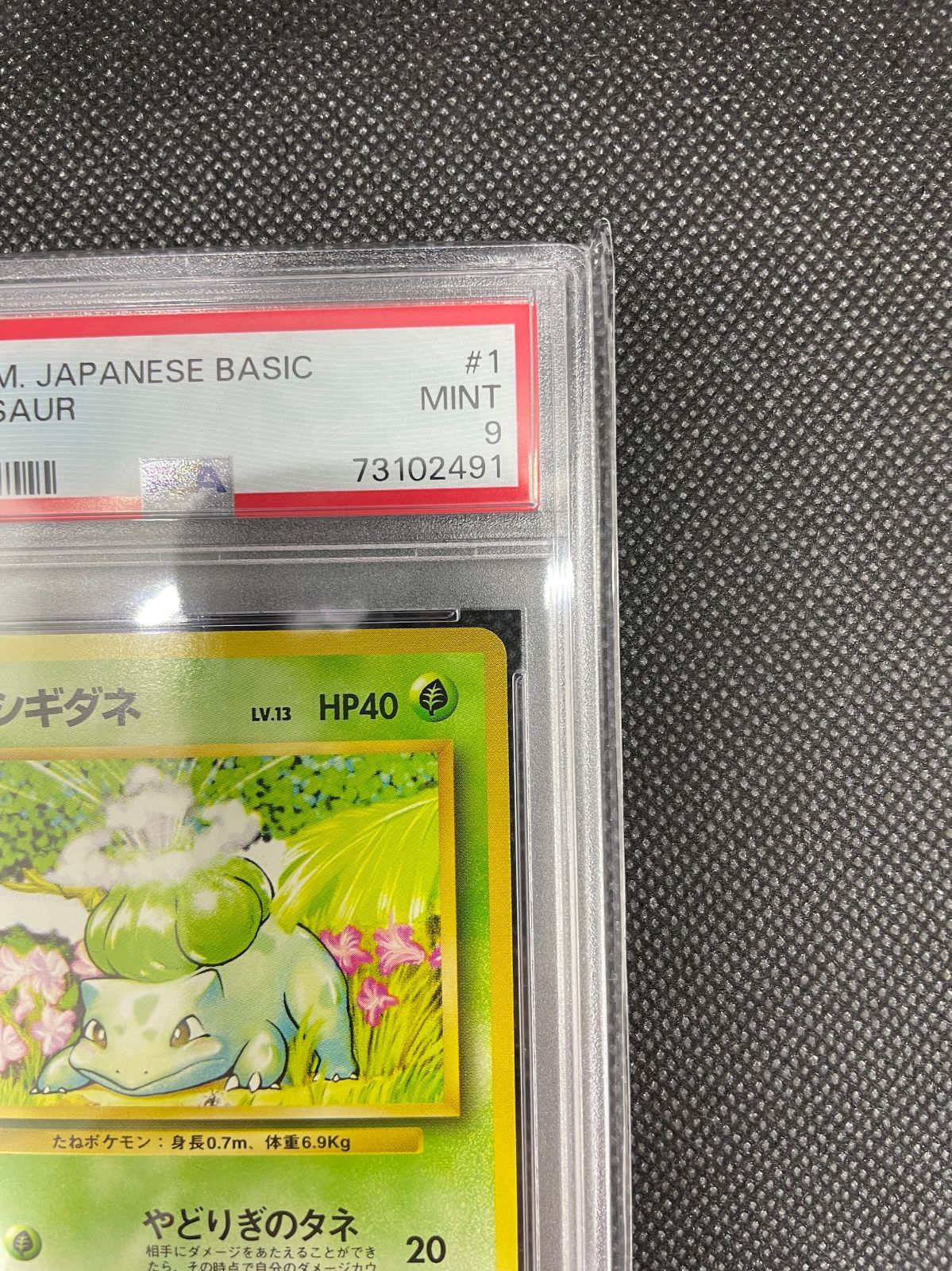 PSA鑑定品】旧裏 フシギダネ LV.13 PSA9 ポケモンカード 拡張パック第