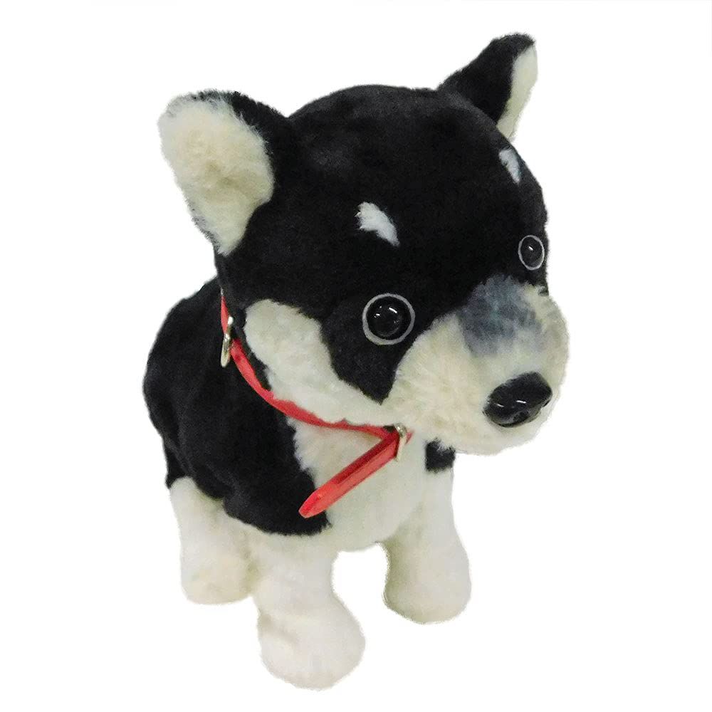 Broadwatch 話す 喋る 動く 歌う 踊る お話だーいすきっ 会話ができて踊れる 黒柴 柴犬ロボット 首輪付き ぬいぐるみ ご年配向け 心躍るコミュニケーションドール ココドル