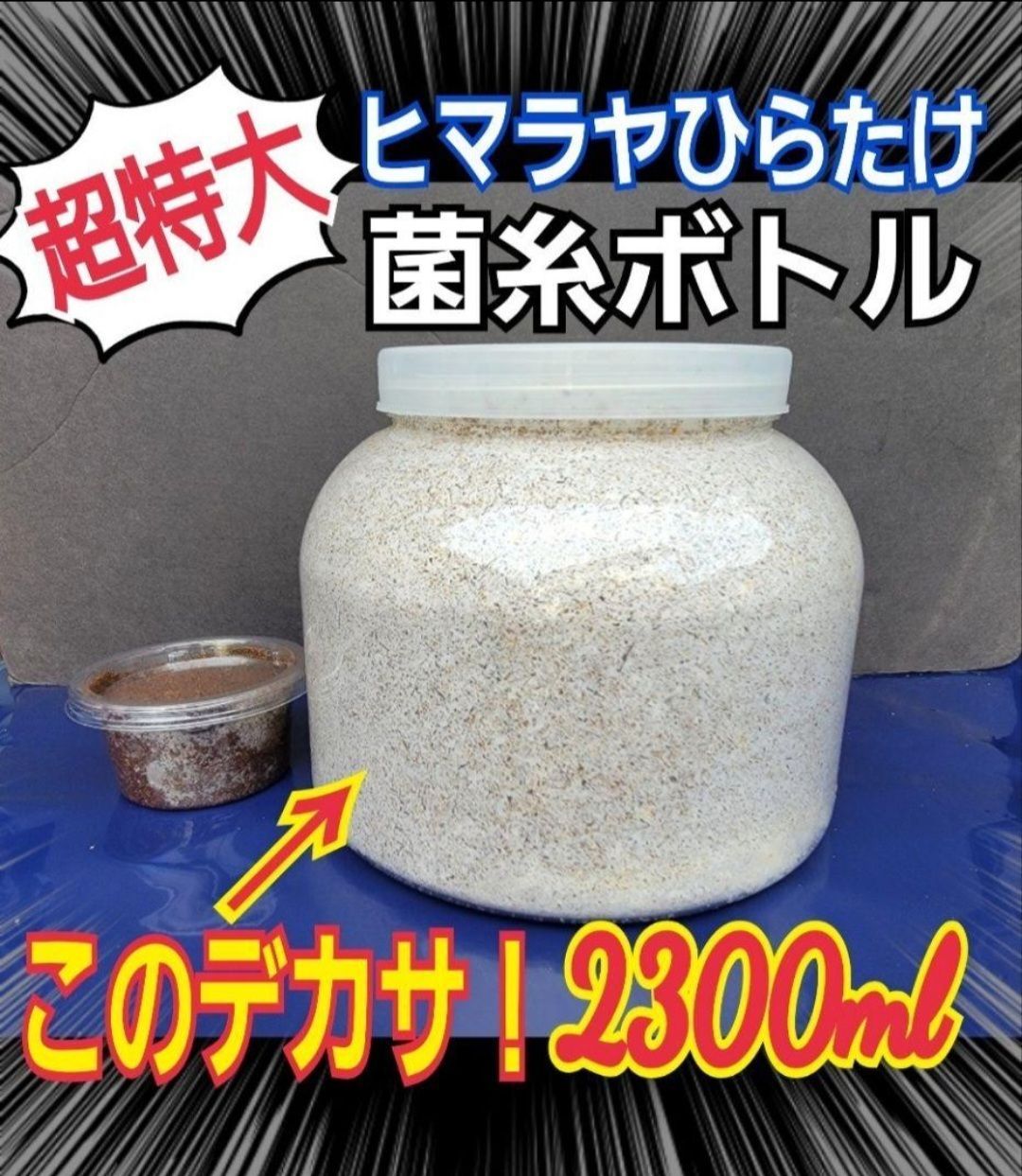 大型クワガタ羽化専用☆特大2300ml菌糸瓶【3本】ギラファ、外産ヒラタ