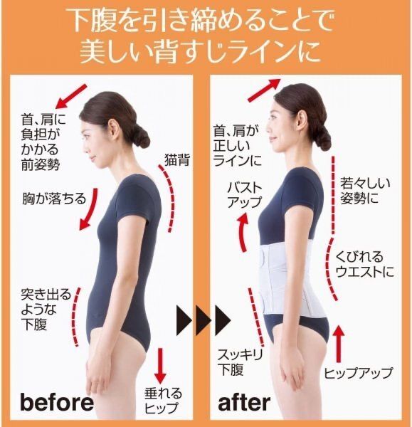 下腹引き締め 姿勢サポートベルト