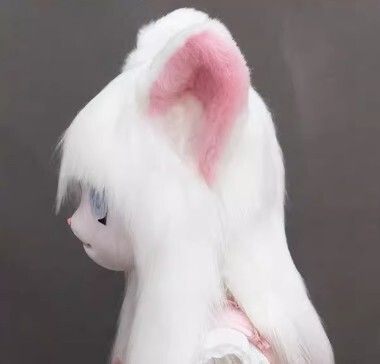 着ぐるみヘッド 猫 白 口閉じる 全頭ヘッド ケモノ マスク
