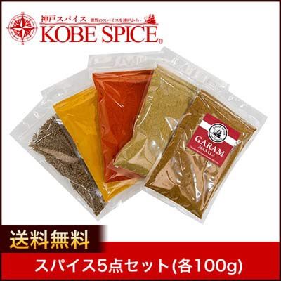 スパイス5点セット100g各1袋 AS910500001 パケット-0
