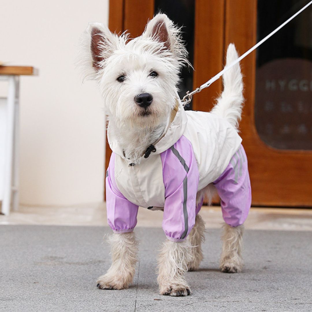 犬 ペット レインウェア レインコート カッパ 雨具 散歩用 足付き 小型犬 中型犬 大型犬 フード付 帽子付 夜間反射 M L XL XXLサイズ  リード穴あり 撥水 つなぎ 可愛い シンプル 紫 白 パープルホワイト 脚カバー 雨対策 アウトドア おすすめ - メルカリ