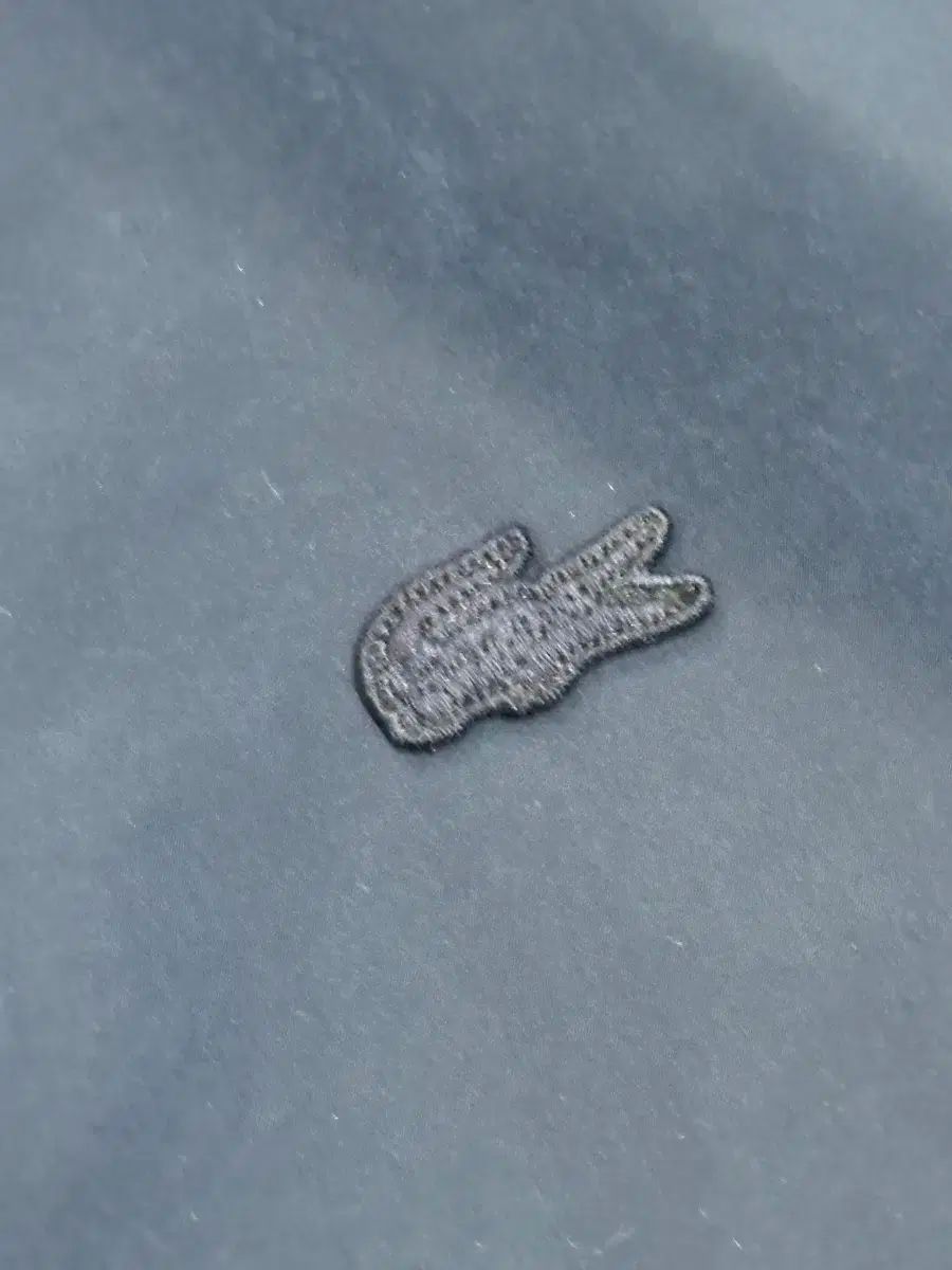 ダウンジャケット ステンカラーコート