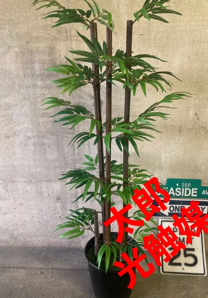 光触媒 人工観葉植物 ウォールグリーン フェイク アレンジ 黒竹105gjm