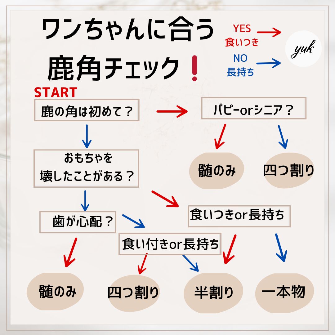 のサムネイル
