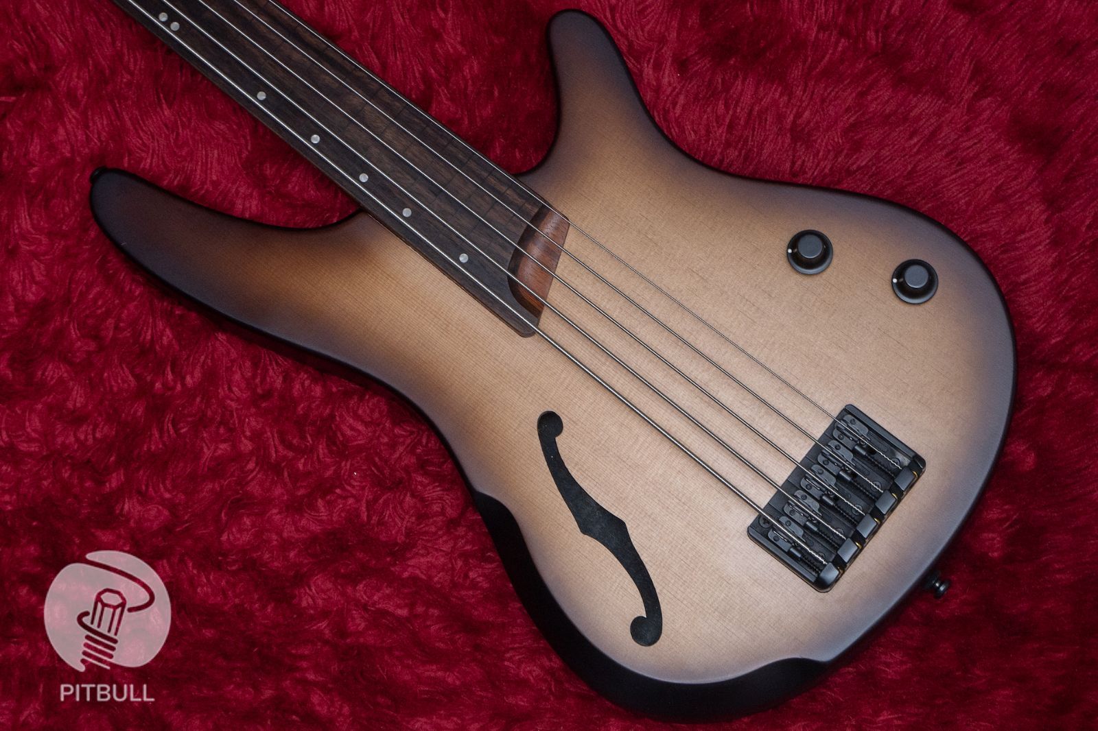 専用】Maison エレキギター黒レスポールタイプ入門セットぼっち・ざ