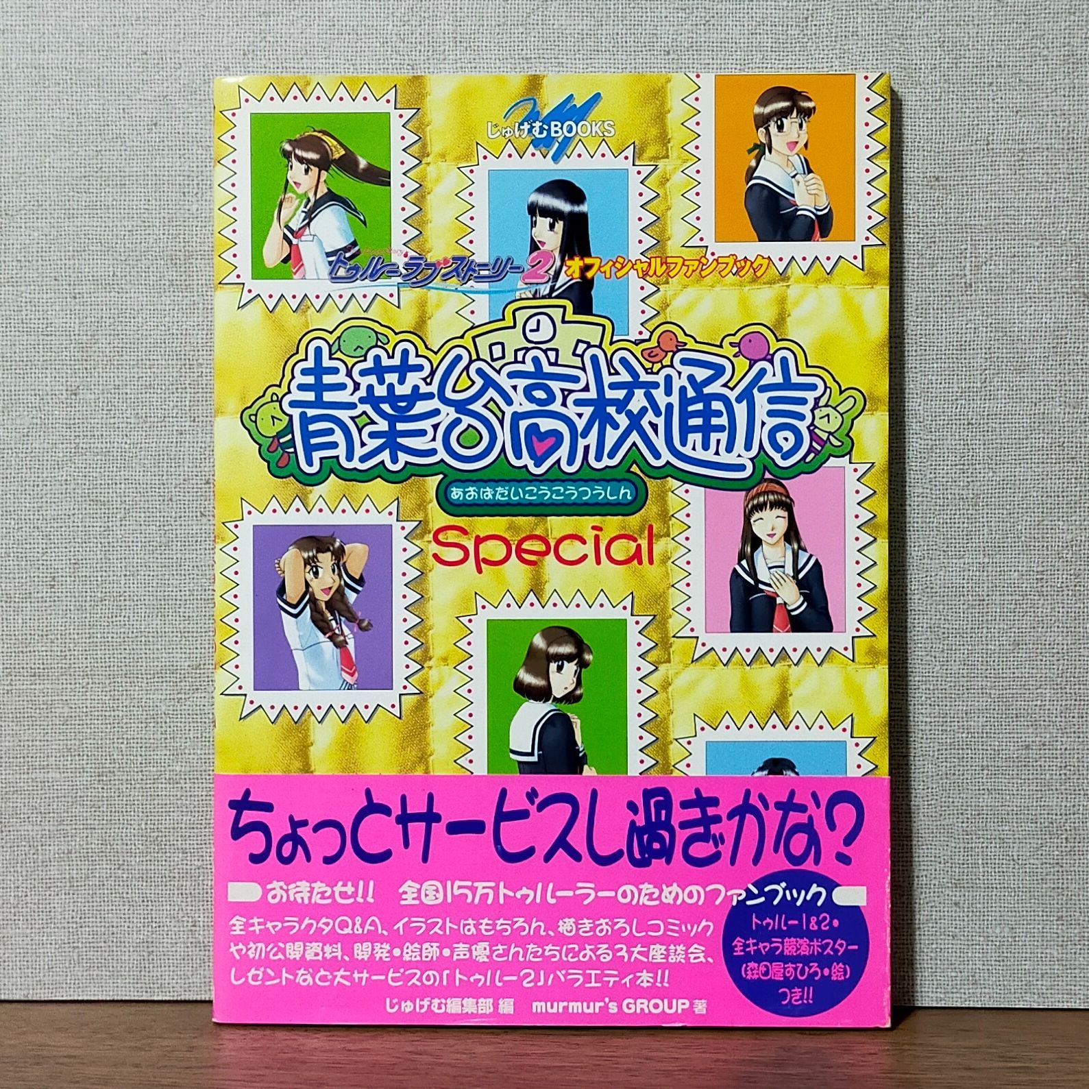 青葉台高校通信Special トゥルーラブストーリー2 オフィシャルファン 