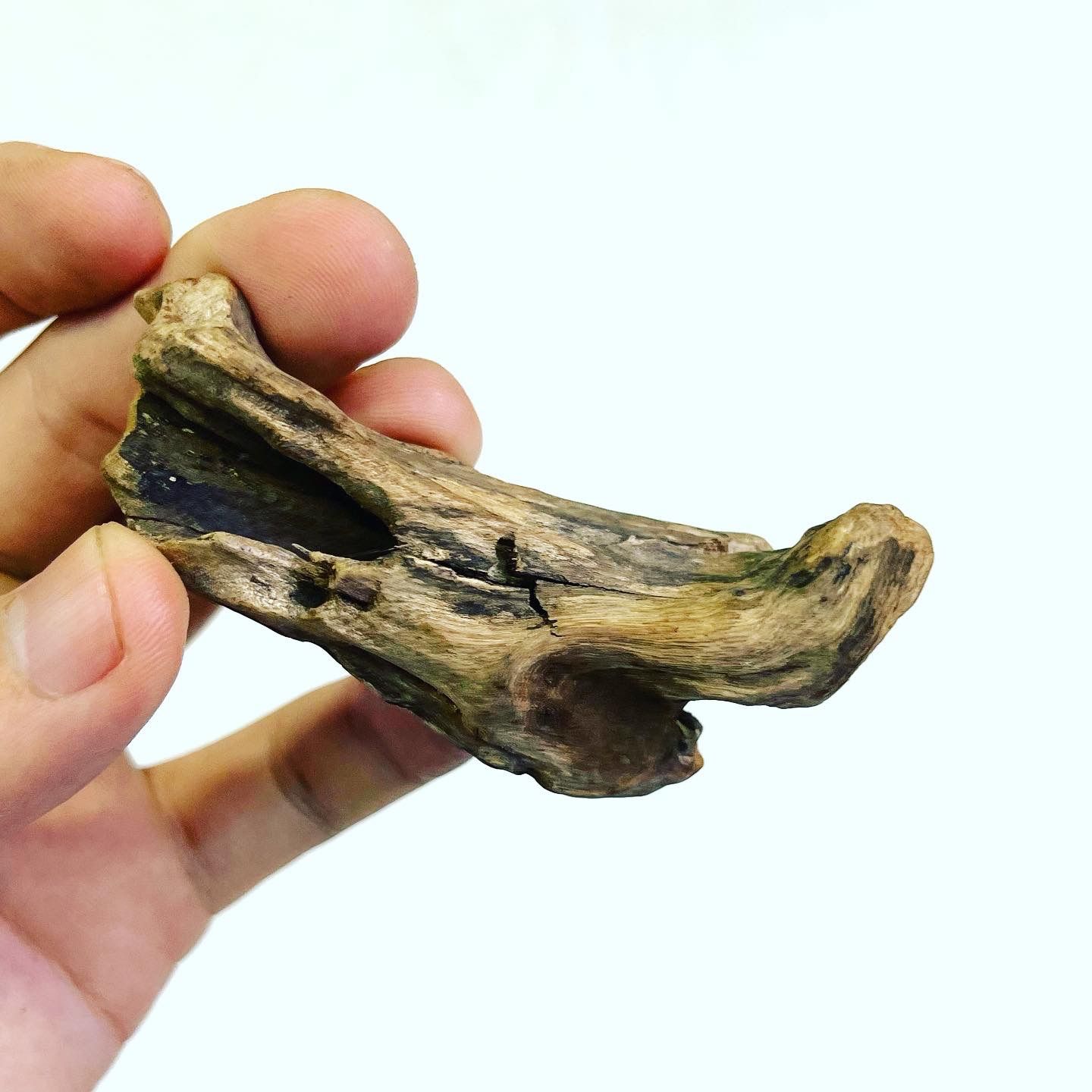 【大型流木】85cm アク抜き消毒済み アク抜き不要！水に沈む状態でお届けします』アクアリウム 流木