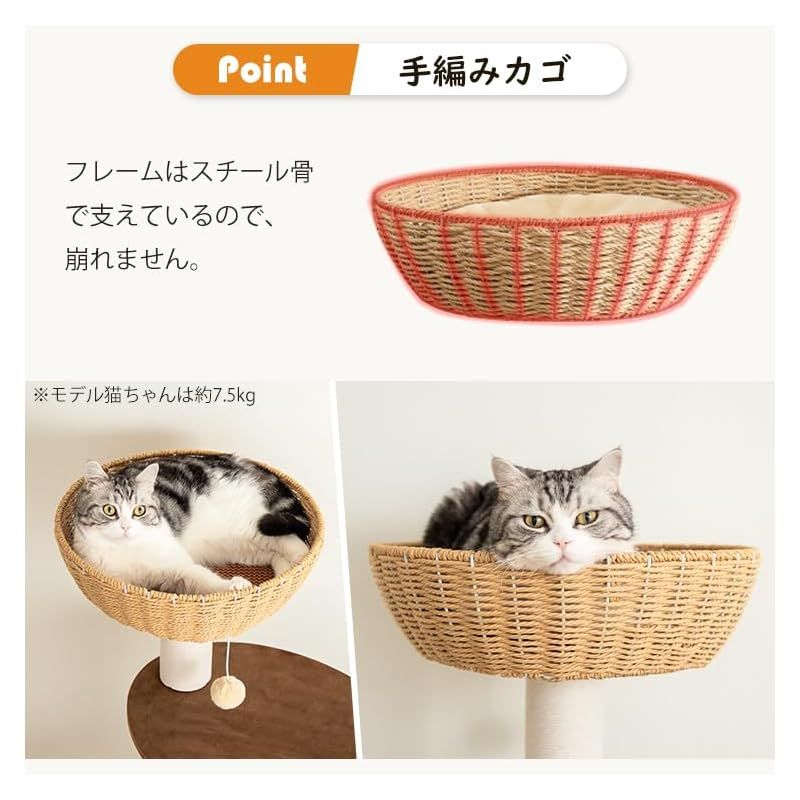 登りやすい 省スペース