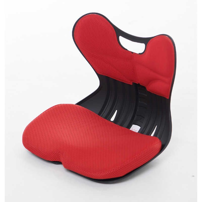 Style 骨盤・姿勢矯正クッション ダークパープル 楽天市場】8%OFF