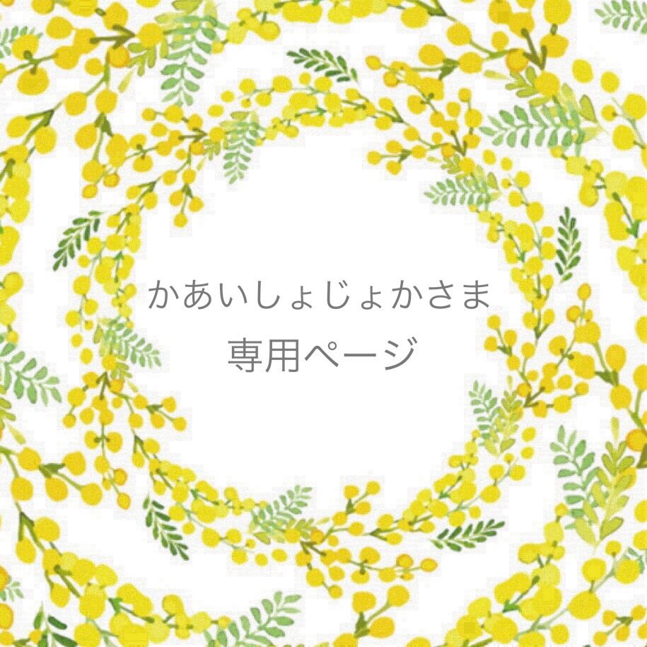 じょー様 専用 かあいしょじょかさま専用ページ - メルカリ